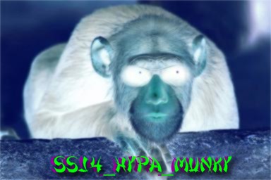 ssj4_hypa_munky.jpg